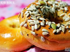 多乐的bagle很一般-多乐之日(五道口店)