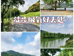 -风云岭森林公园