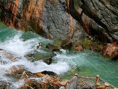 -广州白江湖森林公园