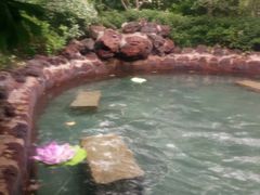 -苏州湾王焰温泉度假酒店