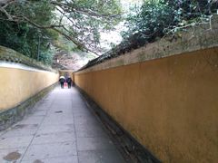 -普陀山慧济禅寺