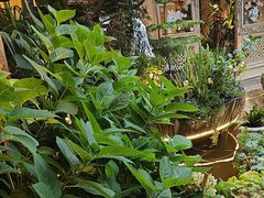 -小锅巴纳西餐厅