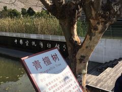 -中国宣纸文化园