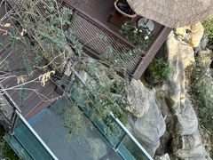 -巴倒烫陆派重庆火锅(南山店)