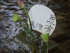 -宋宴(虎跑店)