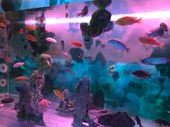 -梦幻海洋王国(吾悦广场张家港店)