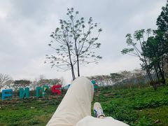 -天适樱花悠乐园