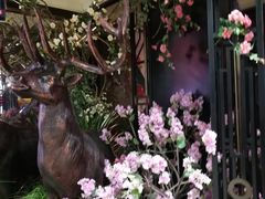 -新白鹿餐厅(悠迈生活广场店)
