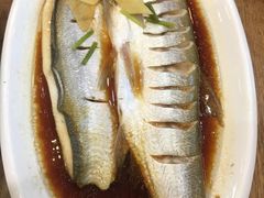 -老马家·舌尖上的西塘美食