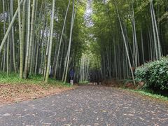 -苏州环秀晓筑养生度假村
