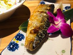 青花鱼-酒井酱子·深夜食堂(东城汇店)