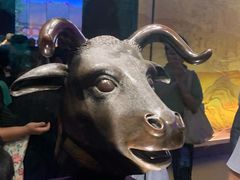 -广西壮族自治区博物馆