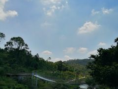 -东莞植物园