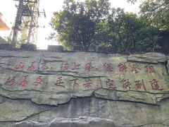 -广州市帽峰山景区