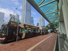 -Big Bus Tours 敞篷观光巴士