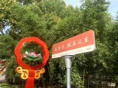 -杨家埠民间艺术大观园