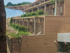 -北京中信金陵酒店