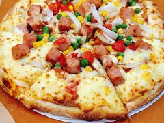 -达美乐比萨(国瑞北路店)