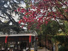 -昆明动物园