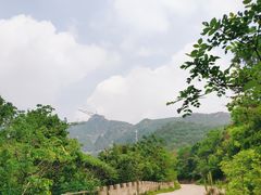 -木兰云雾山
