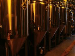 -大聖·精酿啤酒&火烧鸡(市南路店)