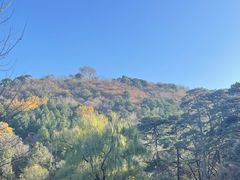 -香山公园