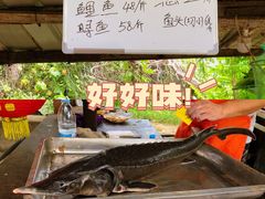 -姥家大锅台水库渔家