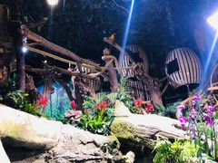 -迪拜水族馆及水下动物园