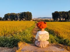 -光明小镇欢乐田园