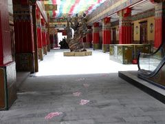 android_upload_pic-日喀则乔穆朗宗酒店