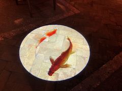 -鼎盛蜀坊·重庆江湖菜(市桥地铁站店)