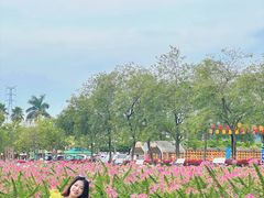 -盈香心动乐园