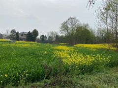 -桤木河湿地公园