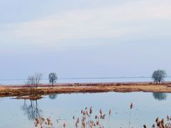 -东山风景区(洞庭东山)