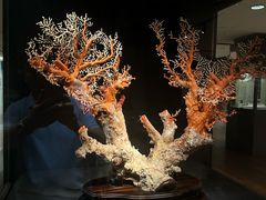 -台北故宫博物院