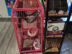 -第三空间·趣味桌游·轰趴.室内CS.剧本杀(大武汉1911店)