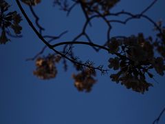 -红星桥(地铁站)
