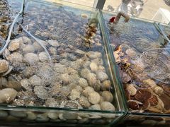 -四海蒸鲜蒸汽海鲜自助(北戴河店)