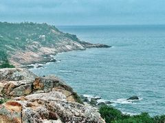 -广东惠东海龟国家级自然保护区