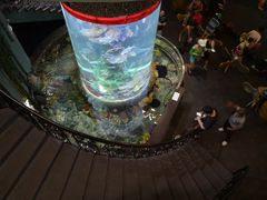 -芽庄珍珠岛游乐园