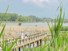 -野鸭湖国家湿地公园