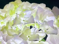 -常州古运河南大街文化旅游区-人民公园