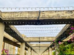 -生如夏花泰式火锅(西村黑金店)