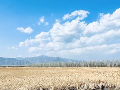 -野鸭湖国家湿地公园