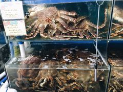-蚝专家(北滘店)