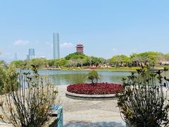 -厦门园林博览苑