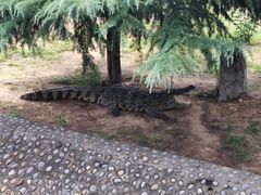 -石家庄市动物园