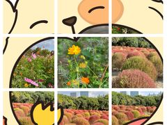 -世纪公园-世纪春沁园