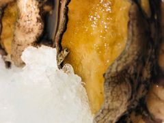 -应时肥牛火锅居(联合路店)