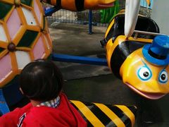 -朝阳公园游乐园